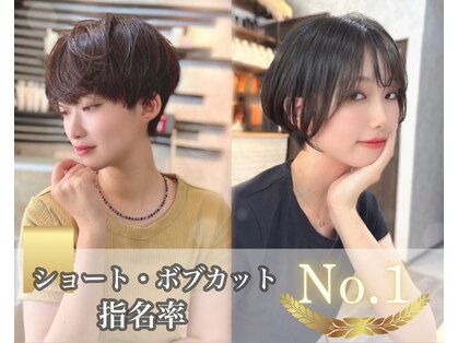 ノエ(Noe)の写真