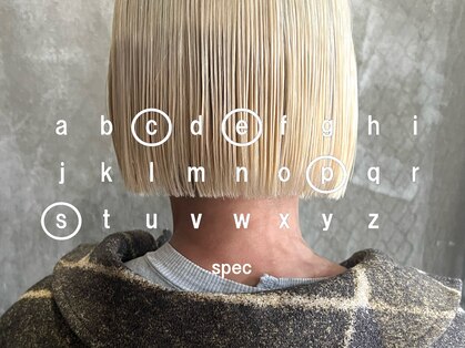 スペック(spec)の写真