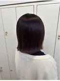 ブリーチ無しダブルカラーチェリーブラウン