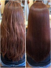 Honey Bee【ハニービー】 ヤクジョ