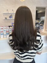 シェリッシュ ノース(Sheriche North) 透明感オリーブブラウン