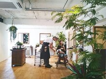 ヘアーアンドライフスタイルトモス(Hair and Life style TOMOS)