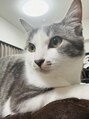 チル(Chill...) 愛猫の不二子です笑