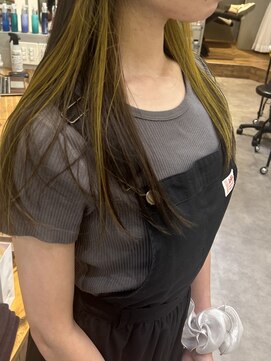 ジェミニ(gemini) lemon yellow