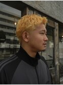 TOYA STYLE No.23