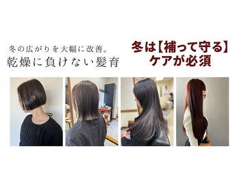 lotti 【ロッティ】