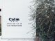 カルム(Calm)の写真/「エイジングケア」を中心としたメニューが充実！髪質やクセを見極めた提案をしてくれるサロン。