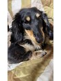 ヘアーディア みどり店(Hair...DiA)&nbsp;自分と同じ誕生日の愛犬(ダックスフンド)がいます！