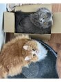 ダリー 発寒南店(Dali) 大の猫好き。現在、2匹飼っています！猫トークしましょう◎