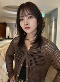 韓国風シースルーハッシュミディアム☆