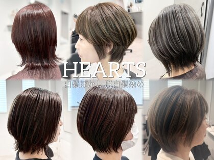 ハーツ 船橋(HEARTS)の写真
