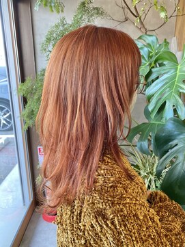 ソル(SOL by INFINI) SOL/小森/Orange×ウルフレイヤー