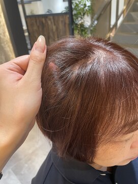 エハプラスマウナ(Eha+MAUNA) 白髪ぼかしナチュラルブラウン