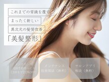 ウィル ボッサ 御茶ノ水 神保町(WILL bossa)の雰囲気（美髪ケアはお客様の髪の悩みをヒアリングしながら施術いたします）