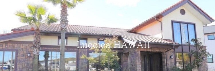 美容室 ルチア ハワイ(Luccica HAWAII)のサロンヘッダー