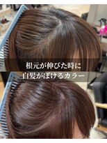 メモリーズ 銀座(Memories) 30代40代50代白髪ぼかし丸みショートくびれショート