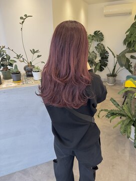 フェーディン(fa/din) ピンクレッドカラー