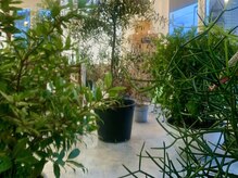 ソーイ(sowi)の雰囲気（OPEN Tue.-Sat.11:00/Sun.&Holiday9:30）