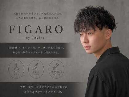 フィガロ バイ テイラー(FIGARO by Taylor)の写真