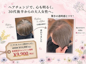 カラーサロンビスカリア 相模原エリア 淵野辺駅店(Color salon Biscaria)の写真/白髪染めに見えない白髪染め♪アルティストカラーで透明感とツヤのある髪色に!自然なグレイカラー*[淵野辺]