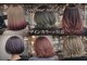 コアフールソレイユ(coiffeur SOLEIL)の写真