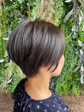 ノーブルヘアー(NOBLE HAIR) グレージュ