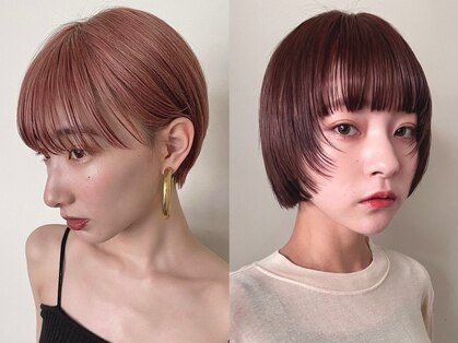 ノーム(norm)の写真