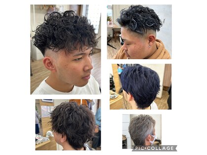 シードヘア(seed hair)の写真
