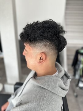 アポロ(Apollo) スペインカール