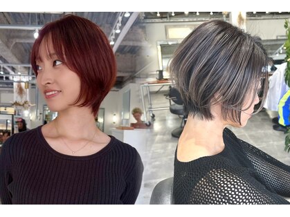 ホリー(HOLLY)の写真