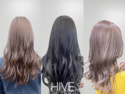 ハイブ(HIVE)の写真