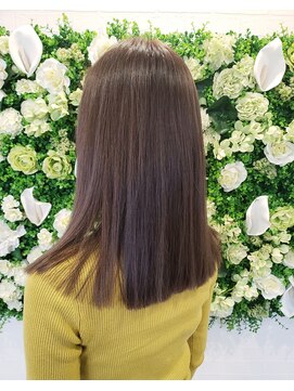 ルミエール(Lumiere) ロブ