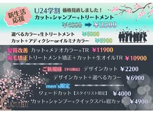 ラスター(LUSTER)