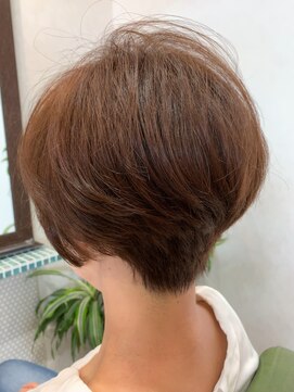 メイン クーン(Maine Coon) シンプルショート