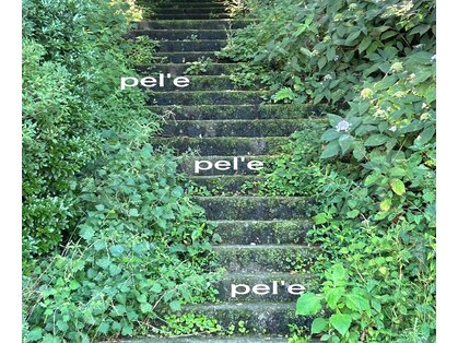ペレ(pel'e)の写真