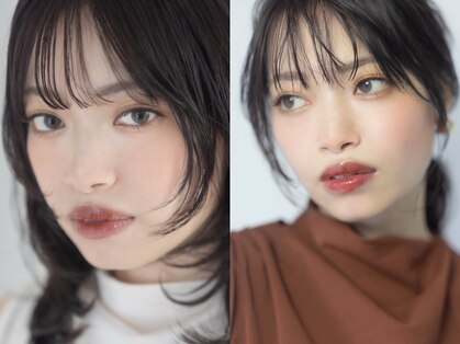 ダリア(Dahlia)の写真