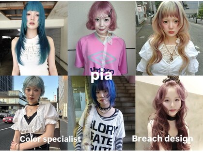 ピア(Pia)の写真