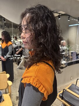 ビビト(bibito) bibito ミディアムネオソバージュ くるくるパーマウルフ