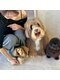 ドッグマニアピンチアオヤマ(DOGMANIA PiNCH AOYAMA)の写真/マンツーマンでゆったり癒しの時間を。わんちゃん同伴okの犬いるサロンで至福の体験を！