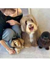 ドッグマニアピンチアオヤマ(DOGMANIA PiNCH AOYAMA)
