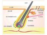 初回！髪の健康促進（幹細胞）無料相談30分★女性専用【ブログ参照】頭皮ケア