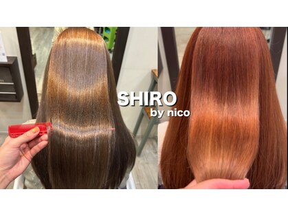 シロ バイ ニコ(SHIRO by nico)の写真