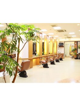 くせ毛にお悩みの方必見！サルビア南町店であなたの素敵スタイルを見つけて、毎日をもっと楽しみましょう♪