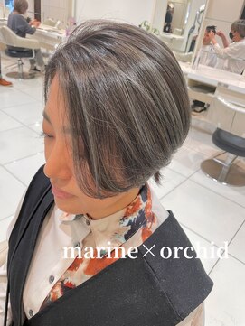 アッシュ 武蔵小金井店(Ash) \白髪ぼかし×イルミナマリーン/