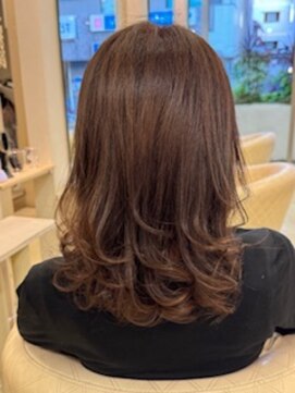 ラポート(Rapport) マットブラウン