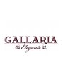 ガレリアエレガンテ 緑店(GALLARIA Elegante)/関口　晃司