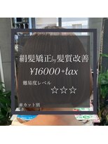 ヴィオラスバイポッシュ ギンザ(Violus by Posh GINZA)&nbsp;絹髪矯正by髪質改善