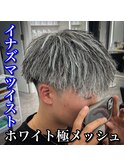 マッシュ/イナズマツイスト/ホワイトメッシュ/極