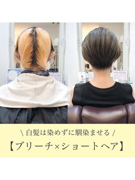 ウィロー(WILLOW) 【WILLOW京橋/都島】白髪ぼかしブリーチ×ショート(井下貴史)