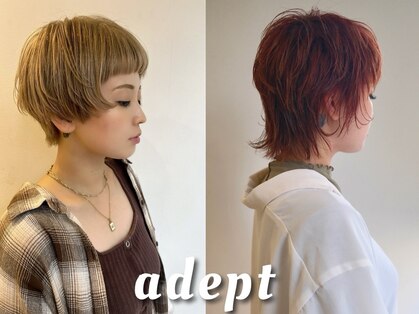 アデプト 金町店(adept)の写真